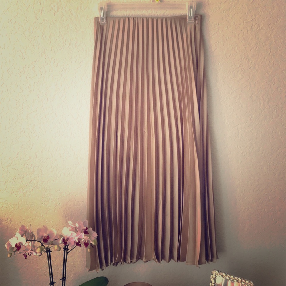 Zara Pleated Skirt